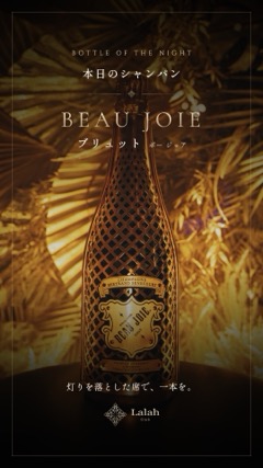 Beau Joie